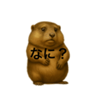おはなしマーモット（個別スタンプ：4）