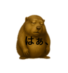 おはなしマーモット（個別スタンプ：6）