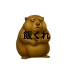 おはなしマーモット（個別スタンプ：12）