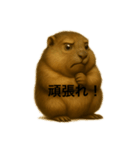 おはなしマーモット（個別スタンプ：13）