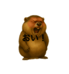おはなしマーモット（個別スタンプ：16）