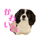 ViViちゃんの日常スタンプ（個別スタンプ：4）
