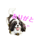 ViViちゃんの日常スタンプ（個別スタンプ：16）