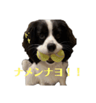 ViViちゃんの日常スタンプ（個別スタンプ：19）