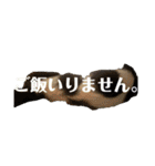 ViViちゃんの日常スタンプ（個別スタンプ：29）