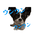 ViViちゃんの日常スタンプ（個別スタンプ：31）