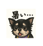 夏に使える可愛いチワワ♡（個別スタンプ：4）