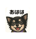 夏に使える可愛いチワワ♡（個別スタンプ：11）