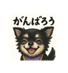 夏に使える可愛いチワワ♡（個別スタンプ：13）