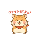 はむまるのふんわり毎日スタンプ（個別スタンプ：13）