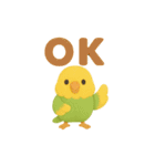 ぷっくり可愛い✨インコちゃん（個別スタンプ：2）