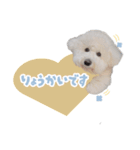 hanagoma◡̈（個別スタンプ：4）