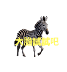 シマウマ C（個別スタンプ：14）