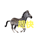シマウマ C（個別スタンプ：24）