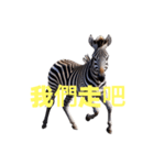 シマウマ C（個別スタンプ：27）