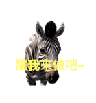 シマウマ C（個別スタンプ：28）