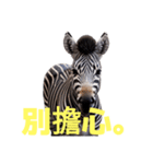 シマウマ C（個別スタンプ：29）
