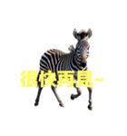 シマウマ C（個別スタンプ：33）