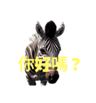 シマウマ C（個別スタンプ：38）