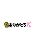 Jinちゃん 猫（個別スタンプ：3）