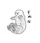 気軽に使えるラッコらこ修正版（個別スタンプ：3）