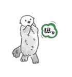 気軽に使えるラッコらこ修正版（個別スタンプ：22）
