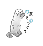 気軽に使えるラッコらこ修正版（個別スタンプ：25）