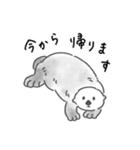 気軽に使えるラッコらこ修正版（個別スタンプ：27）