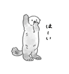 気軽に使えるラッコらこ修正版（個別スタンプ：30）