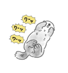 気軽に使えるラッコらこ修正版（個別スタンプ：32）