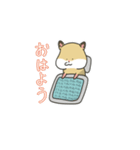 日常で使えるハムスターの日々（個別スタンプ：1）