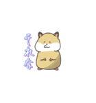 日常で使えるハムスターの日々（個別スタンプ：25）