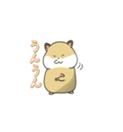 日常で使えるハムスターの日々（個別スタンプ：27）