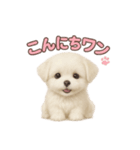 子犬verマルチーズ（個別スタンプ：2）