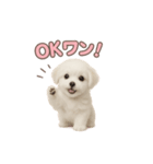 子犬verマルチーズ（個別スタンプ：5）