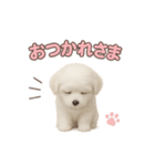 子犬verマルチーズ（個別スタンプ：7）