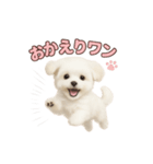 子犬verマルチーズ（個別スタンプ：11）