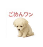 子犬verマルチーズ（個別スタンプ：13）