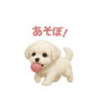 子犬verマルチーズ（個別スタンプ：14）