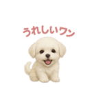 子犬verマルチーズ（個別スタンプ：15）