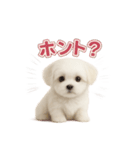 子犬verマルチーズ（個別スタンプ：17）