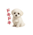 子犬verマルチーズ（個別スタンプ：19）