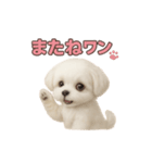 子犬verマルチーズ（個別スタンプ：26）