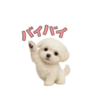 子犬verマルチーズ（個別スタンプ：27）