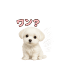 子犬verマルチーズ（個別スタンプ：35）