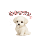子犬verマルチーズ（個別スタンプ：37）