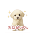 子犬verマルチーズ（個別スタンプ：40）