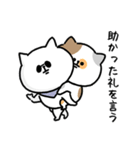 海外ドラマで言ってそう_毎日猫さん(更新)（個別スタンプ：7）