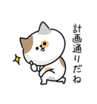 海外ドラマで言ってそう_毎日猫さん(更新)（個別スタンプ：19）