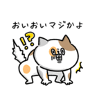 海外ドラマで言ってそう_毎日猫さん(更新)（個別スタンプ：21）
